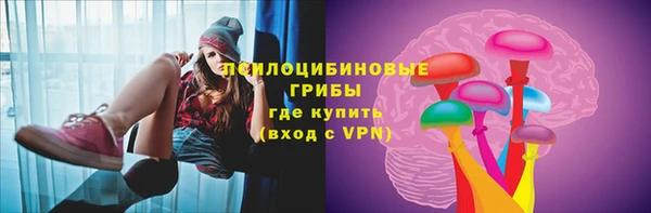 мет Ладушкин