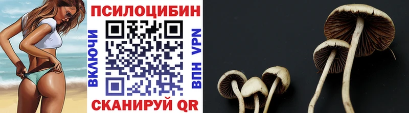 omg ONION  Струнино  маркетплейс клад  Псилоцибиновые грибы Psilocybine cubensis 